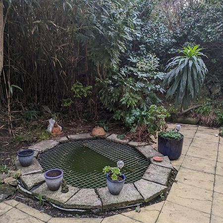 The Garden Apartment St. Ives Exterior foto